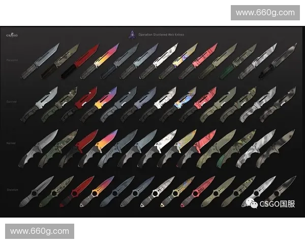 全球CSGO刀具最贵收藏排行榜 揭秘顶级刀具背后的价值与传奇